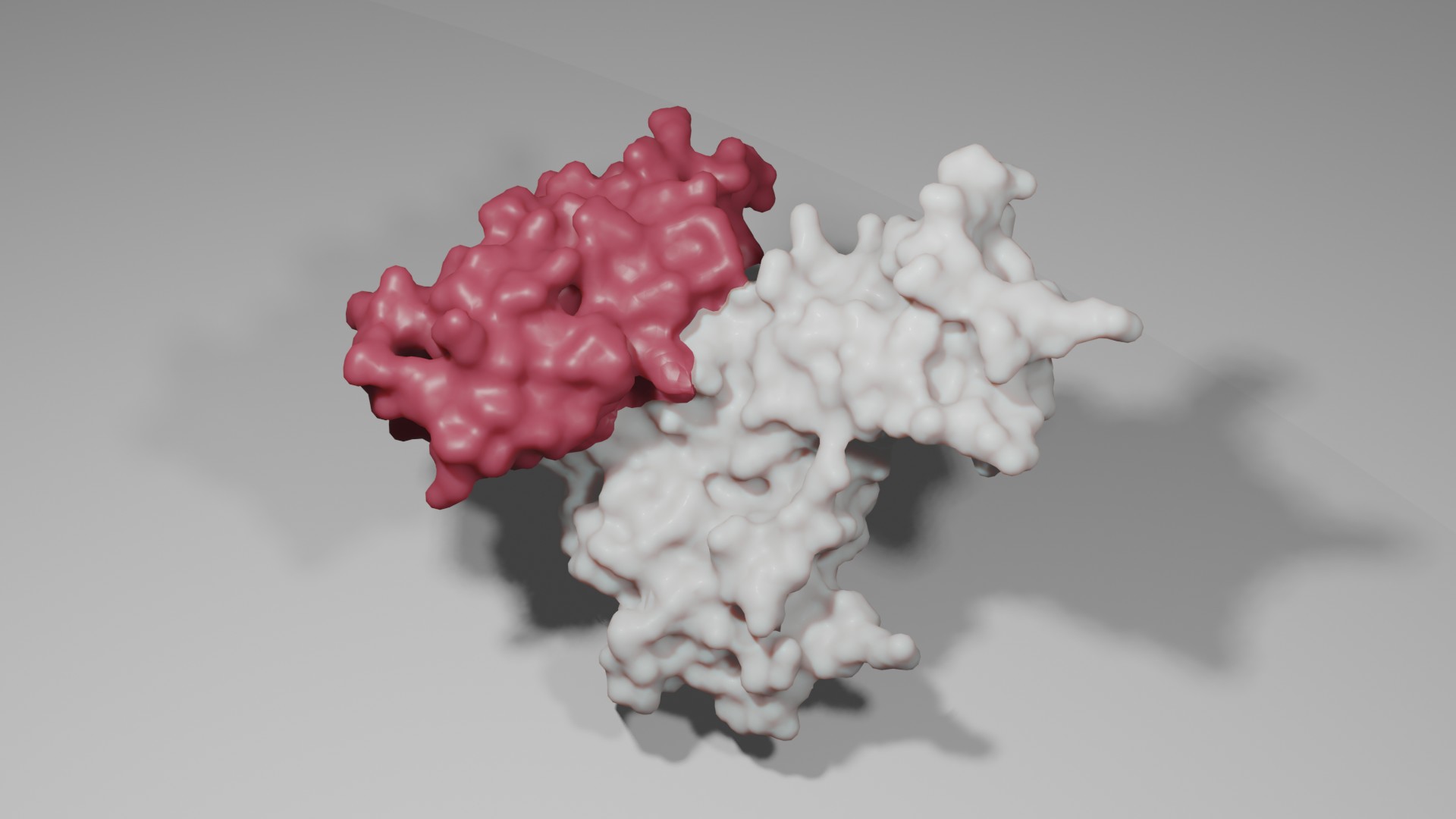 a three-dimensional rendering of a crystal structure showing a protein-protein interaction of two proteins, one in red and one in light grey